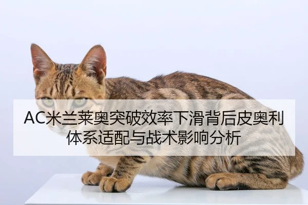 mi-lan-lai-ao-tu-po-xiao-lv-xia-hua-bei-hou-pi-ao-li-ti-xi-shi-pei-yu-zhan-shu-ying-xiang-fen-xi-2-598.jpg