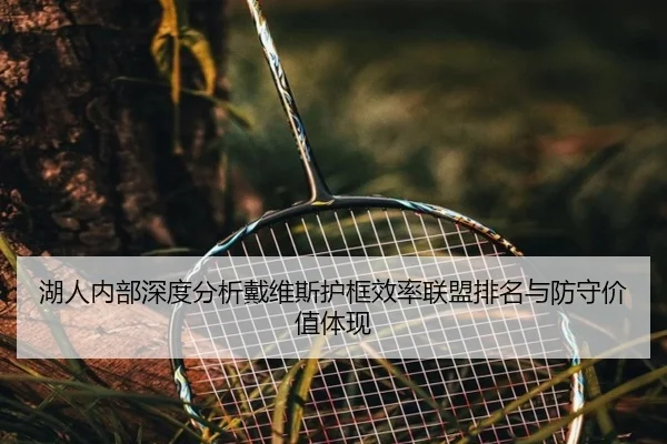 湖人内部深度分析戴维斯护框效率联盟排名与防守价值体现
