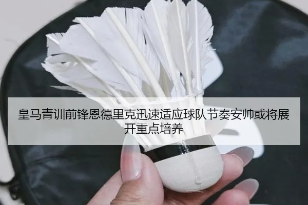 皇马青训前锋恩德里克迅速适应球队节奏安帅或将展开重点培养